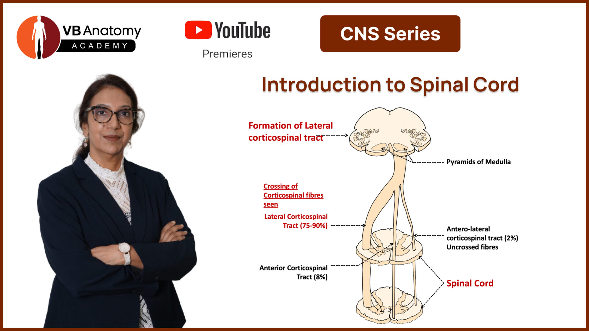 Introduction to spinal cord
