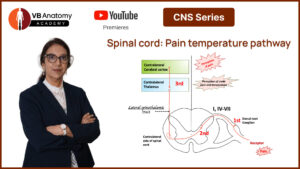 pain temp