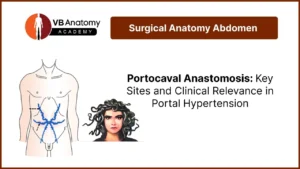Sites of Portocaval Anastomosis